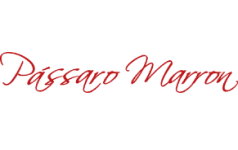 SEO para Empresas 13 passaro marrom