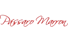 SEO para Empresas 14 passaro marrom